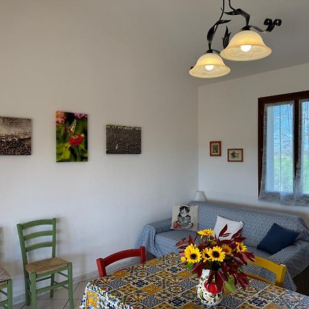 Agriturismo I Debbi Bibbona Buitenkant foto