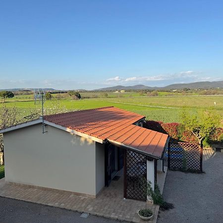 Agriturismo I Debbi Bibbona Buitenkant foto