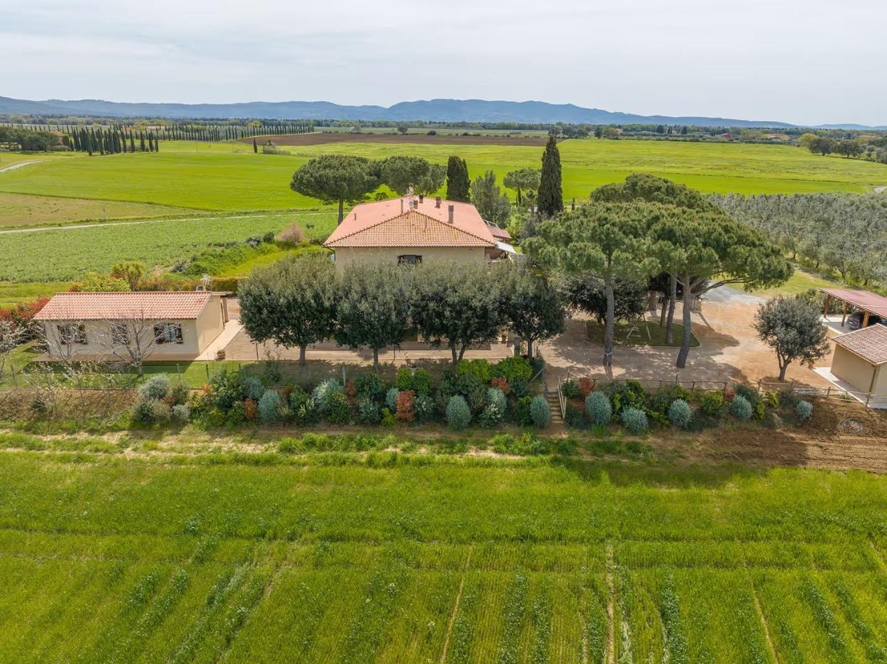 Agriturismo I Debbi Bibbona Buitenkant foto